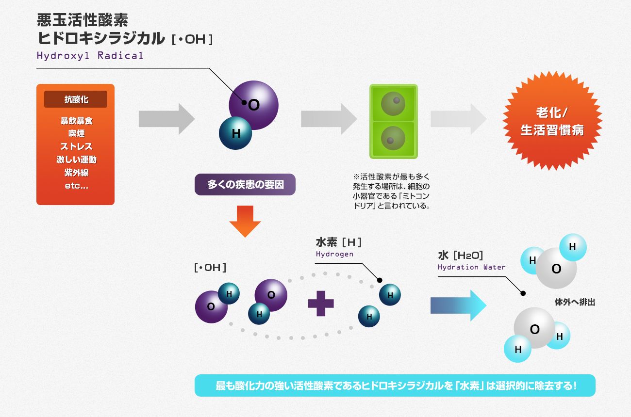 ラジカル ヒドロキシ イオンとOHラジカル、その仕組みと効果｜Sasaki Wataru｜note